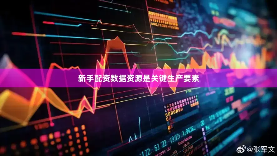新手配资数据资源是关键生产要素