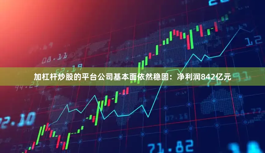 加杠杆炒股的平台公司基本面依然稳固：净利润842亿元